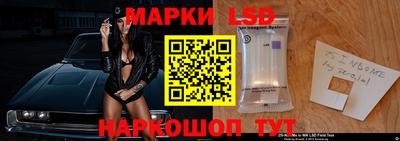 крисы Кулебаки
