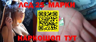 крисы Кулебаки