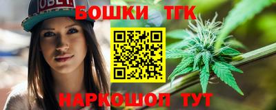 крисы Кулебаки