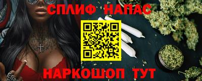 крисы Кулебаки