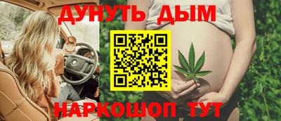 крисы Кулебаки