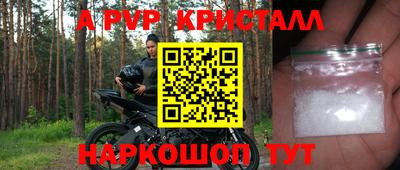 крисы Кунгур