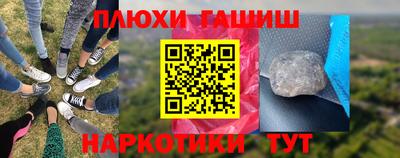 крисы Кулебаки