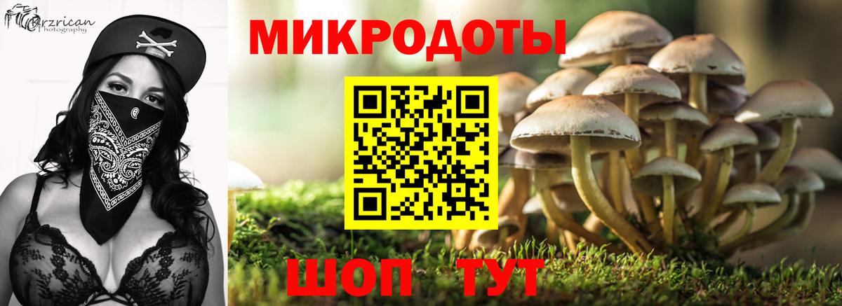 Галлюциногенные грибы мухоморы Киров